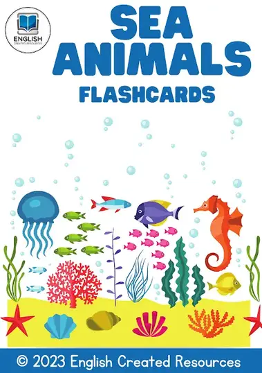 Flashcards – English Created Resources